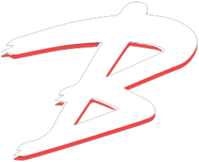 BullyBall Training Logo